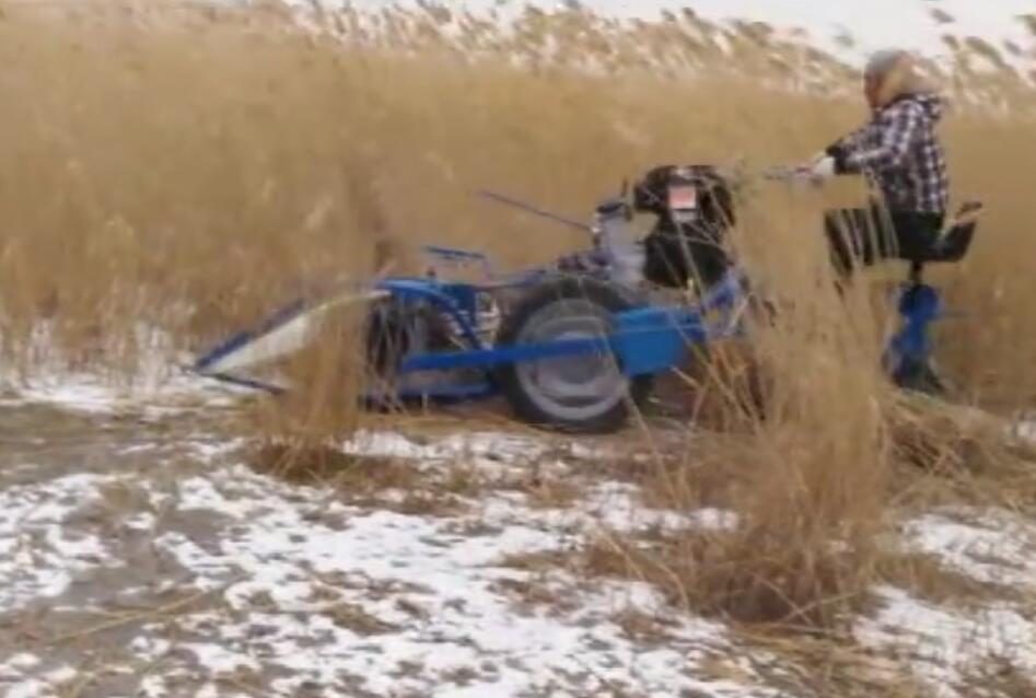 意大利原裝進口割捆機應用于蘆葦收割打捆